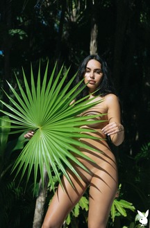 Flashback To The Summer Of 2020 With Hottest Playboy Babes