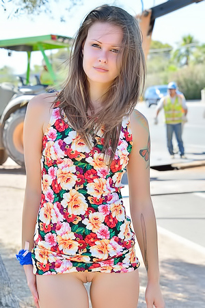 Shea flashing at construction